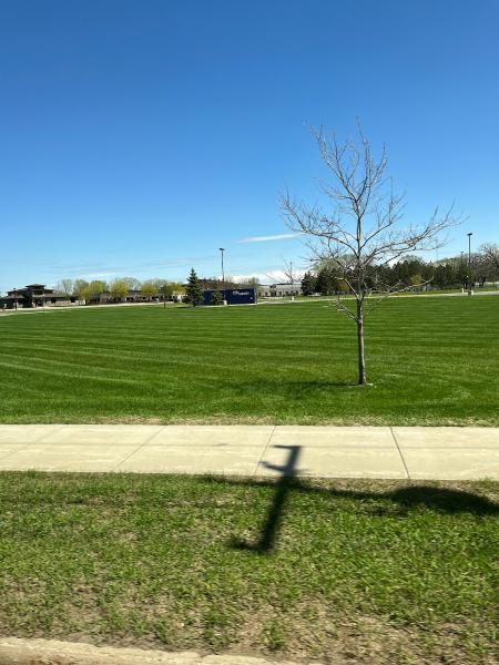 Affordable Lawn Services LLC