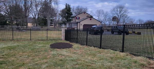 Peare Tree Care