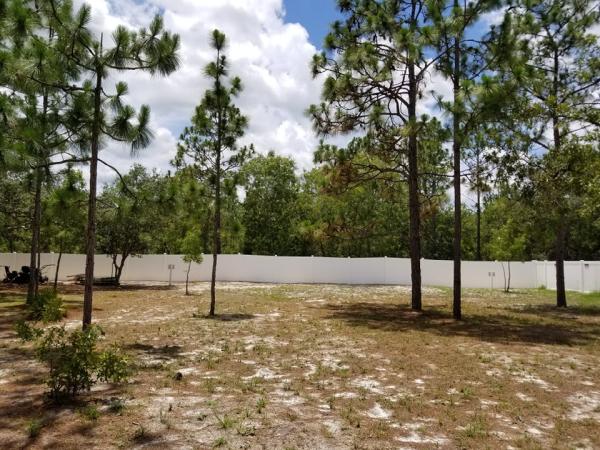 Fence Installation
