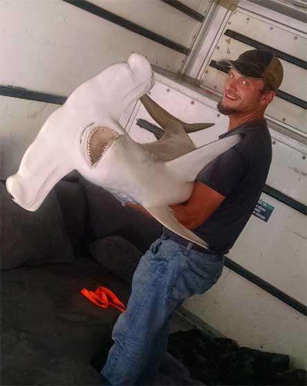 Smart Professional Moving Solutions Dba: Queen City Moving