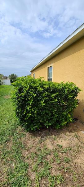 Z I O N Landscaping & Site Development