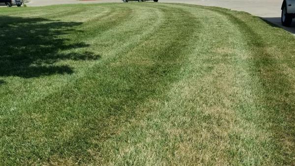 Buzzers Lawn Service