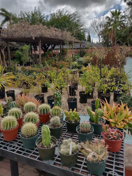 Flowerdale Nurseries