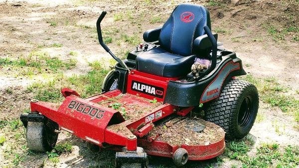 JP Pressure Washing & Landscape Services