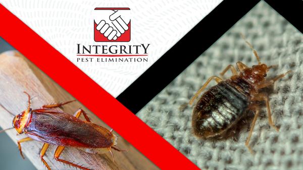 Integrity Pest Elimination