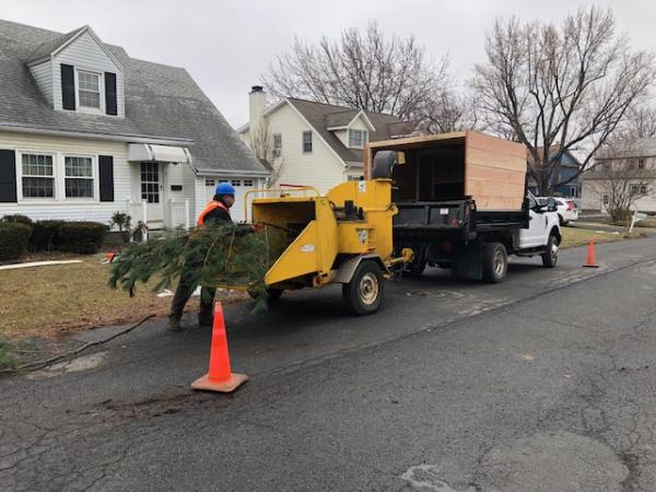 A&J Lawncare and Tree Service Inc.