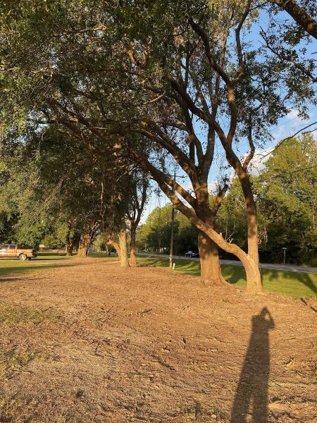 Coastal Care Landscaping LLC Forestry Mulching