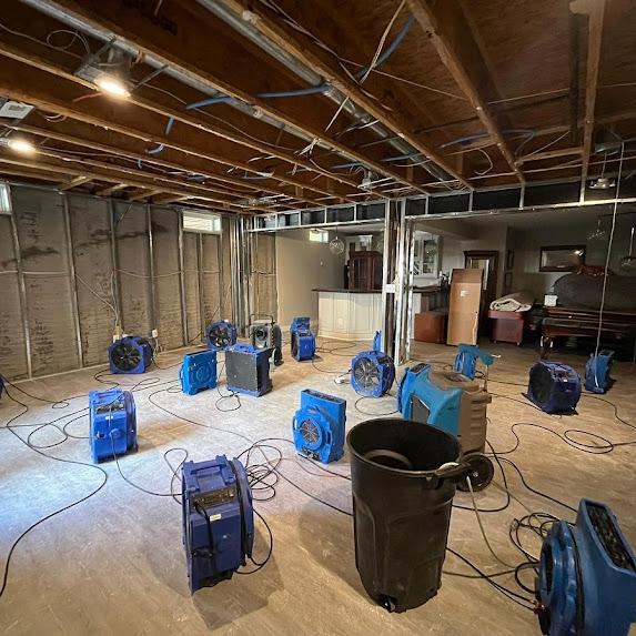 Astoria Mold Removal & Water Damage Repair