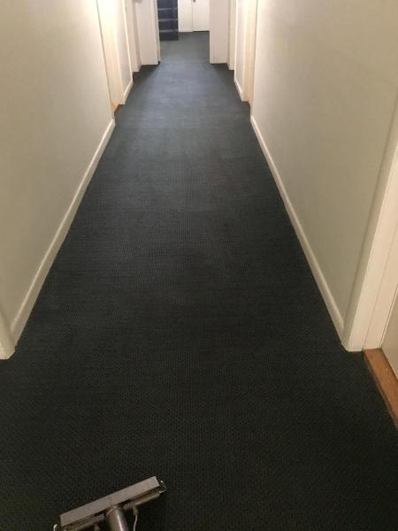 New England Professional Cleaning