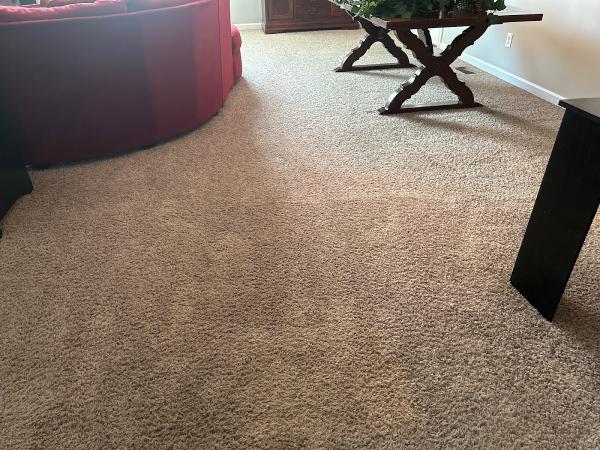 Zerorez Carpet Cleaning Cincinnati