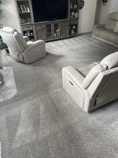 Zerorez Carpet Cleaning Cincinnati
