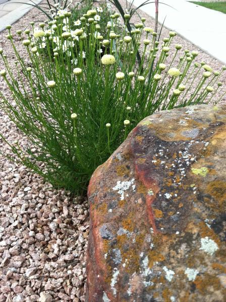 Texas Lawn and Garden