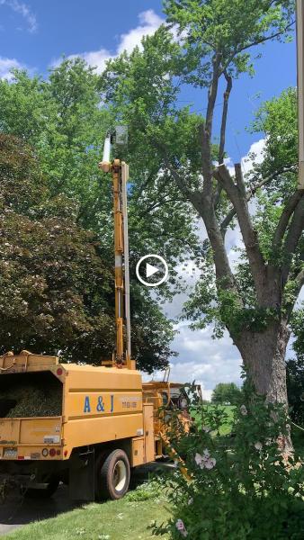 A&J Tree Service