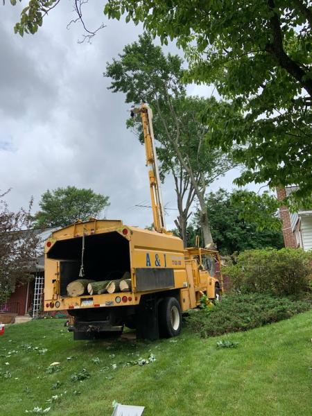 A&J Tree Service