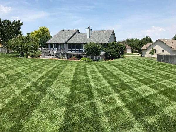 Renew Lawn Care & Landscape Services