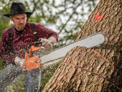 East Coast Tree Fellers
