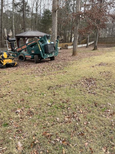 Total Tree Solutions