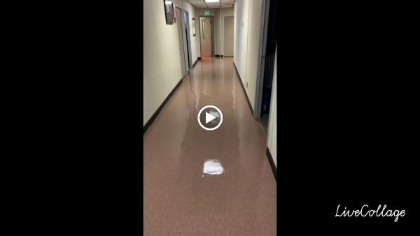 I Give Quality Not Quantity Floor Cleaning Service