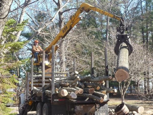 Scott's Excavating