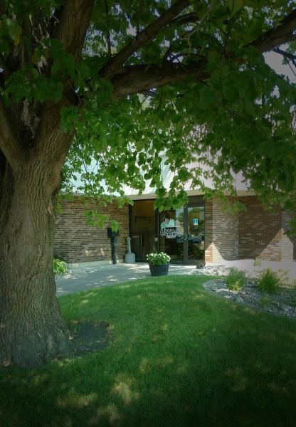 Town & Country Realty