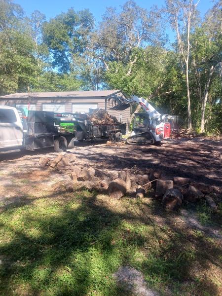 Chain Reaction Tree Services LLC