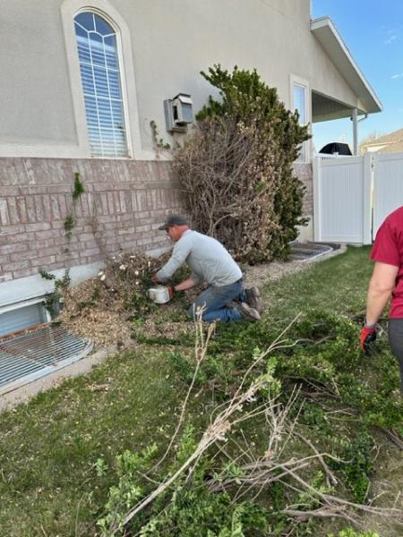 Timber Cuts Tree Service Kaysville