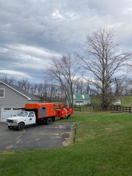 Turner Tree Works