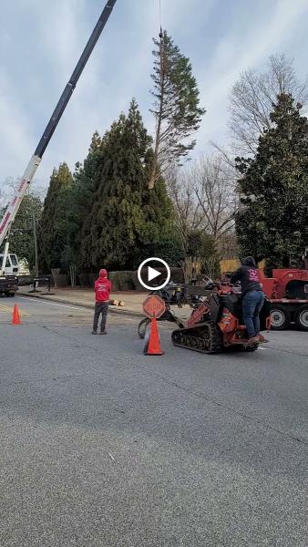 Tomahawk Tree Service