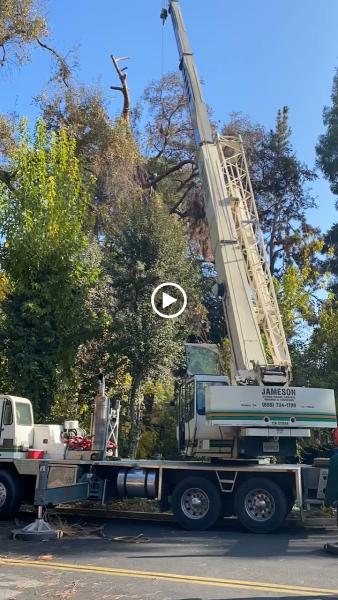 Shipman Tree Service