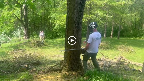 Sangamon Tree Service