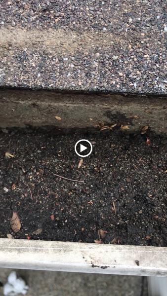 Flo-Rite Gutter Service