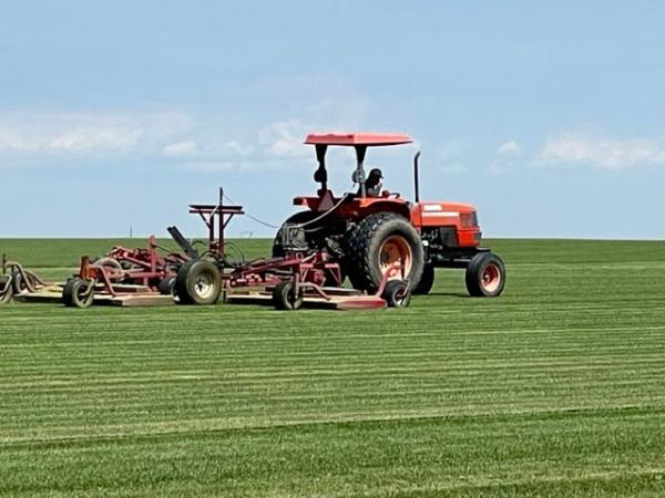 Emerald Sod Farms