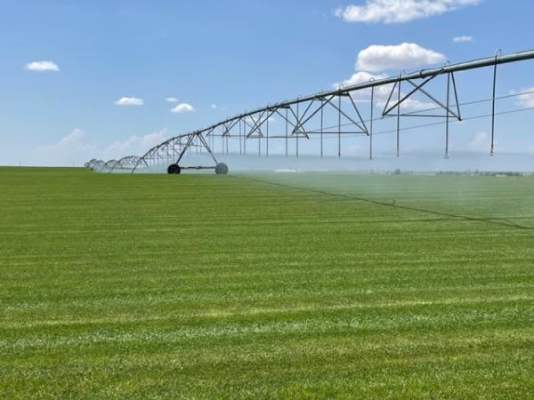 Emerald Sod Farms
