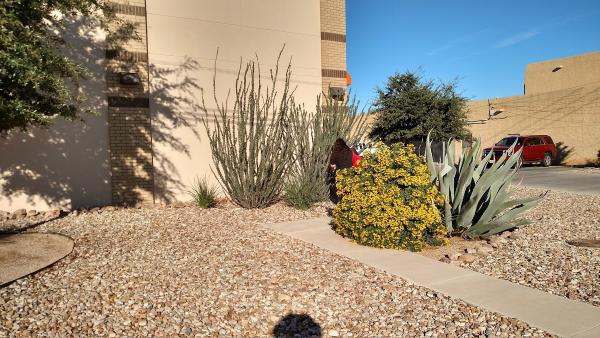 Kessler's Landscape Construction
