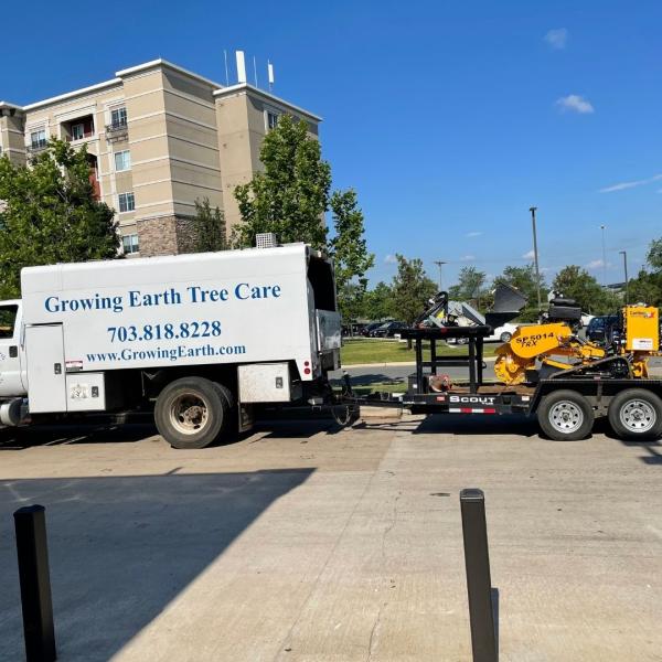 Growing Earth Tree Care