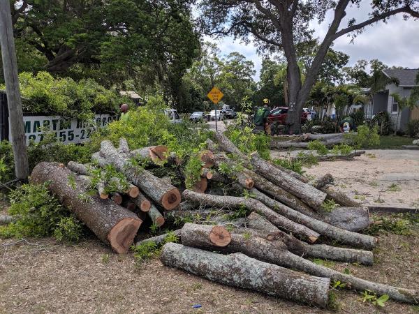 Martin Arborcare Tree Service & Landscape
