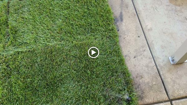 Olayo Landscaping