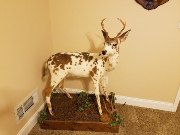 A.T. Martin Home Inspections