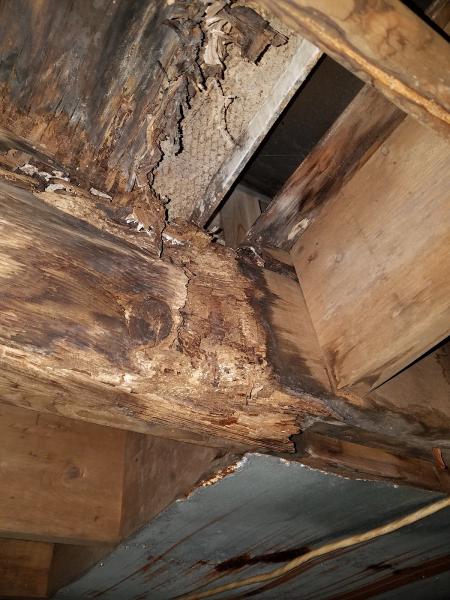 A.T. Martin Home Inspections