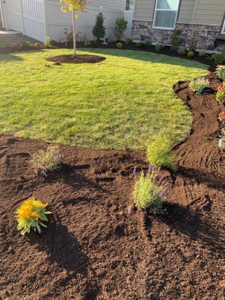 Harmony Landscape & Design