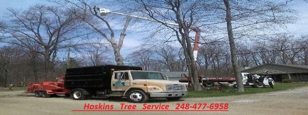 Hoskins Tree Service Inc.