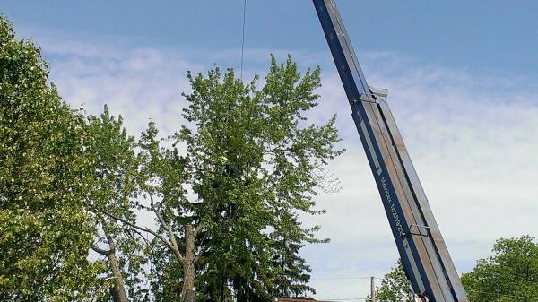 Hoskins Tree Service Inc.