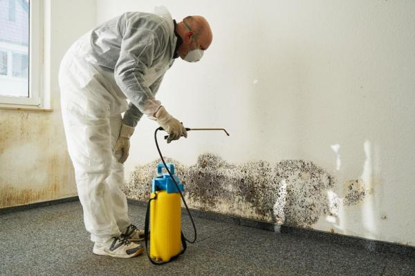 The Cleaning Source