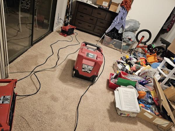 Rapid Dry Restoration