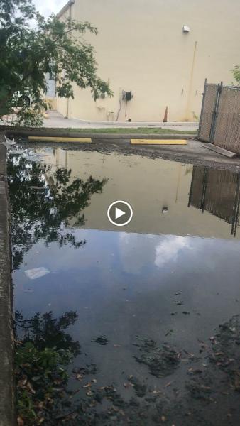 Rooter Sewer Drain Man