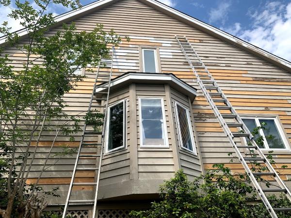 Carlitos Painting & Services LLC