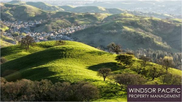 Windsor Pacific Property Management