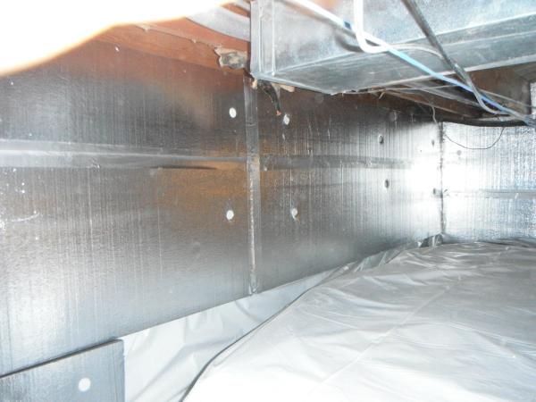 Premier Basement Systems