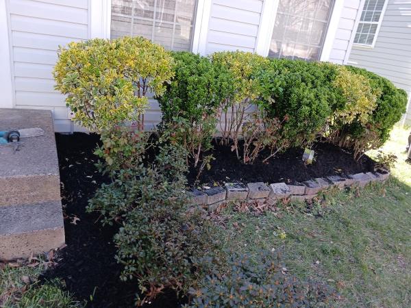 Serrano Cleaning & Maintenance Services