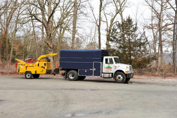 Advanced Tree Care